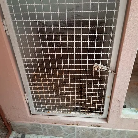 Beach,surf, Hiking And 마세이라