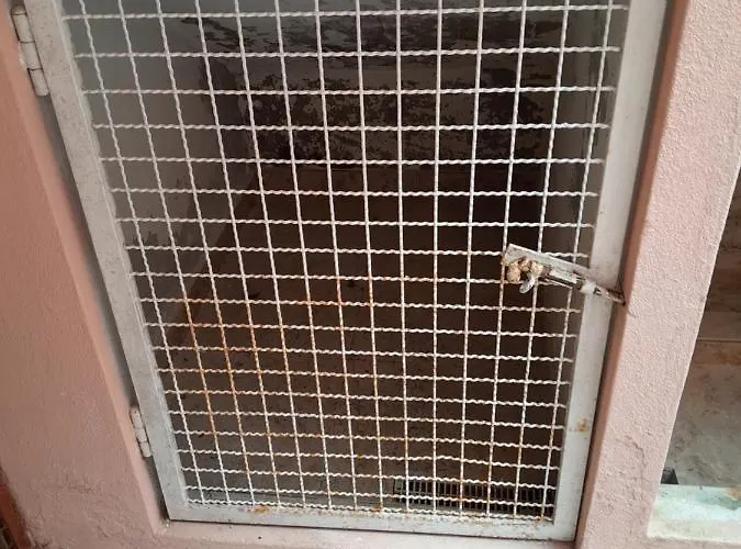 Beach,surf, Hiking And ماسيرا